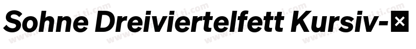 Sohne Dreiviertelfett Kursiv字体转换